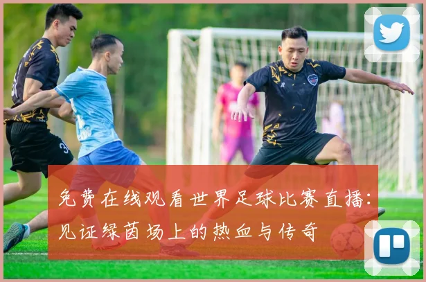 免费在线观看世界足球比赛直播：见证绿茵场上的热血与传奇